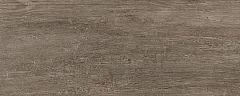 Керамогранит Kerama Marazzi Акация SG412920N 20,1*50,2 коричневый матовый