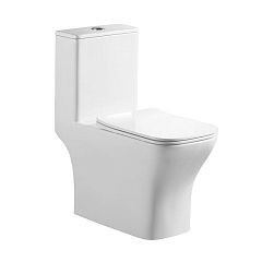 Унитаз-моноблок BelBagno Neon BB8617CPR-MN/SC 35,5*66 безободковый с крышкой-сиденьем микролифт