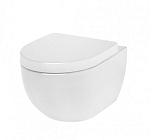 Подвесной унитаз AM.PM Awe C111738SC 36,5*56 с крышкой-сиденьем микролифт Подвесной унитаз AM.PM Awe C111738SC 36,5*56 с крышкой-сиденьем микролифт