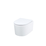 Подвесной унитаз Iddis Stone STORNSEi25 37*49 безободковый с крышкой-системой микролифт Slim Подвесной унитаз Iddis Stone STORNSEi25 37*49 безободковый с крышкой-системой микролифт Slim