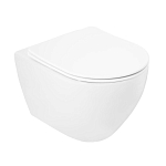 Подвесной унитаз Cezares Stylus CZR-513-TH-R/CZR-2316-SC 37*50,5 безободковый с крышкой-сиденьем микролифт Подвесной унитаз Cezares Stylus CZR-513-TH-R/CZR-2316-SC 37*50,5 безободковый с крышкой-сиденьем микролифт